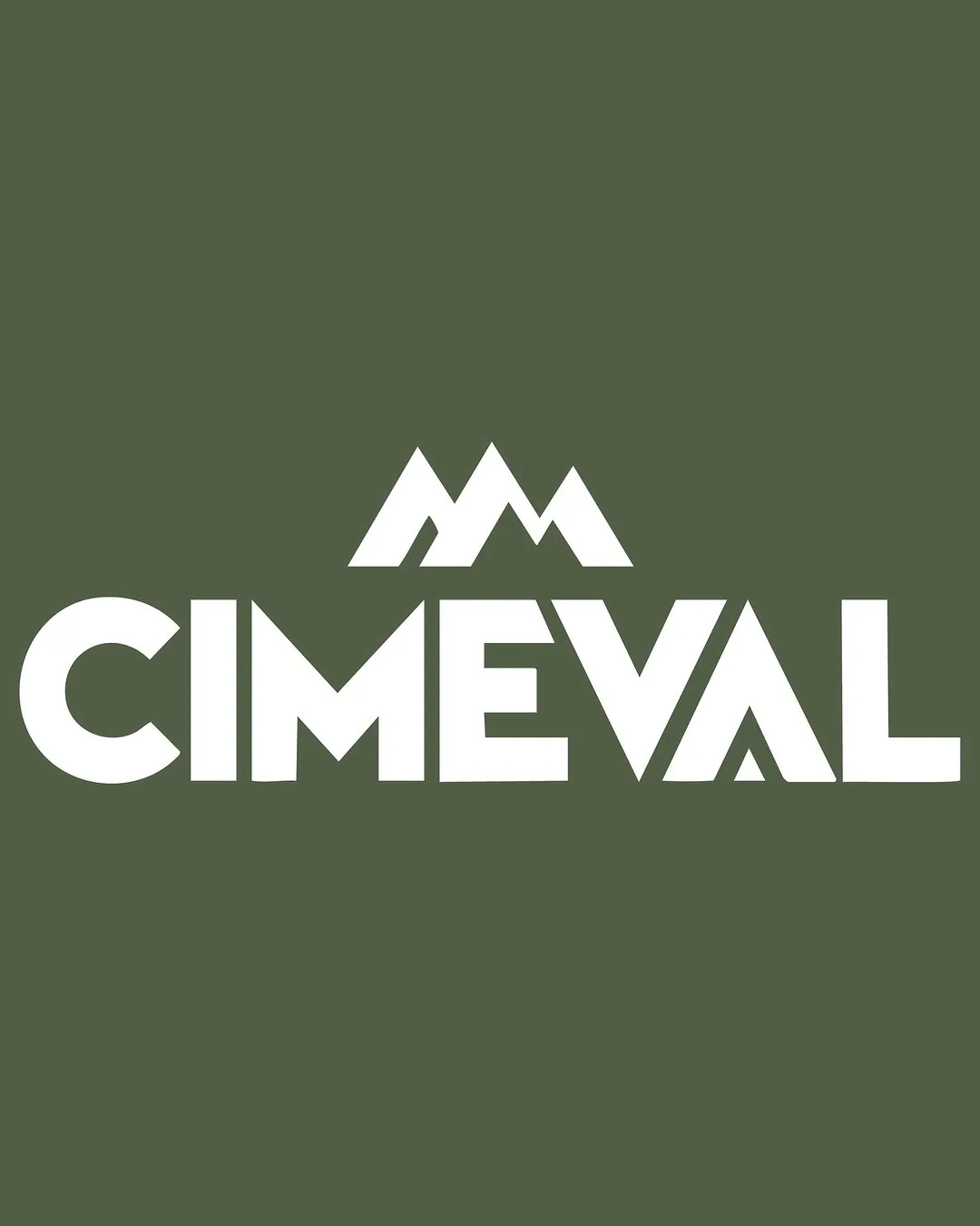 Fondation & Stratégie — identité visuelle Cimeval